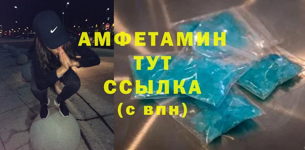 индика Алексин