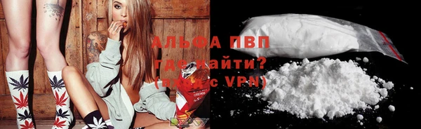 индика Алексин
