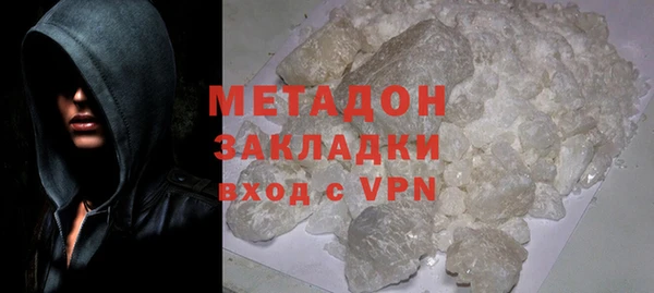 индика Алексин