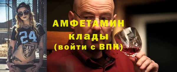 индика Алексин
