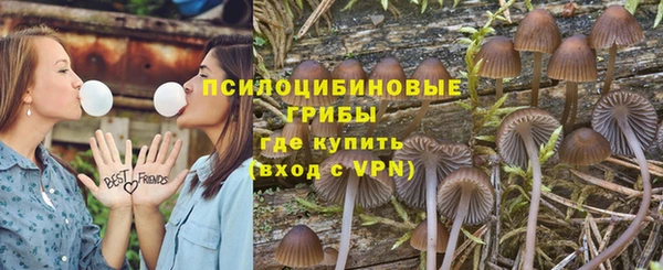 прущий лед Алексеевка