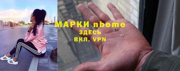 индика Алексин