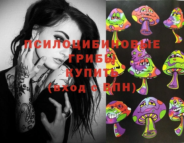 не бодяженный Алзамай
