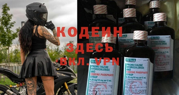 индика Алексин
