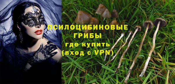 ГАЛЛЮЦИНОГЕННЫЕ ГРИБЫ Аша