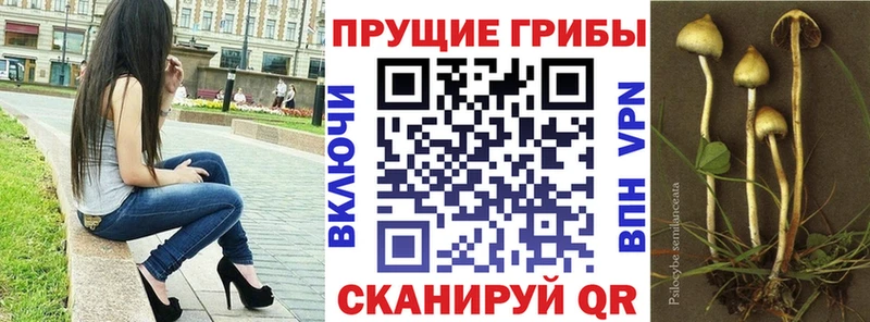 Псилоцибиновые грибы мухоморы Дегтярск